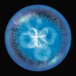Osmos Logo